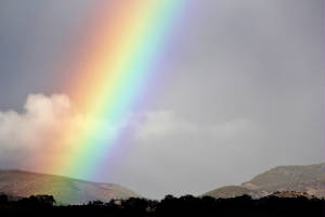 rainbow11-6-11.jpg