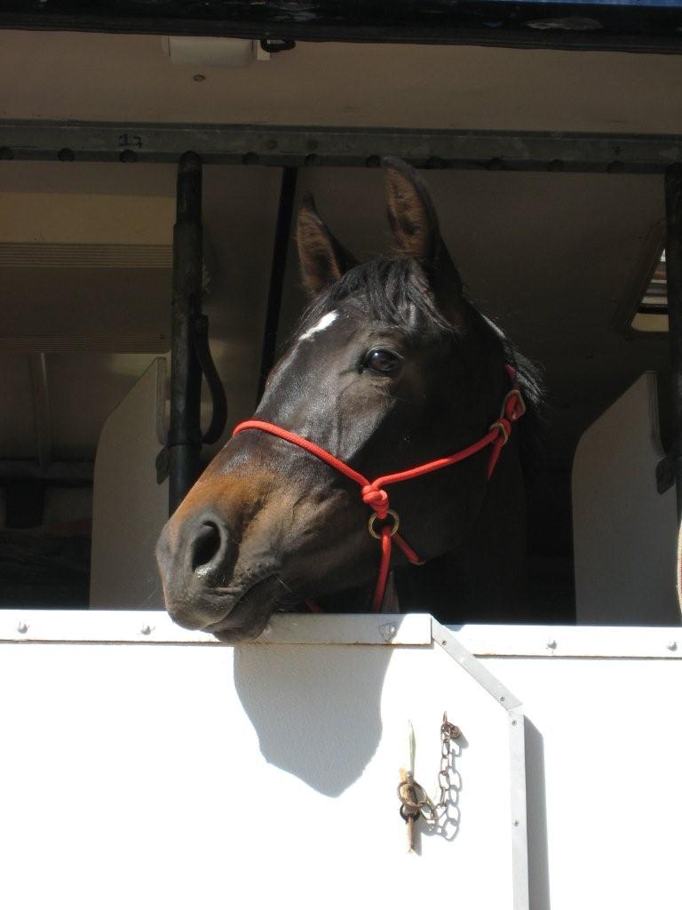 Ciaran looks out of van