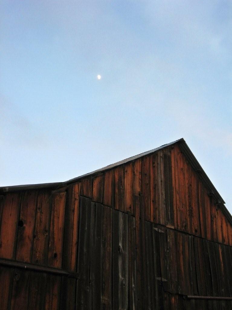 Bart and Tony's old barn